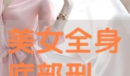 身体在线观看全集,揭秘人体奥秘的奇幻之旅